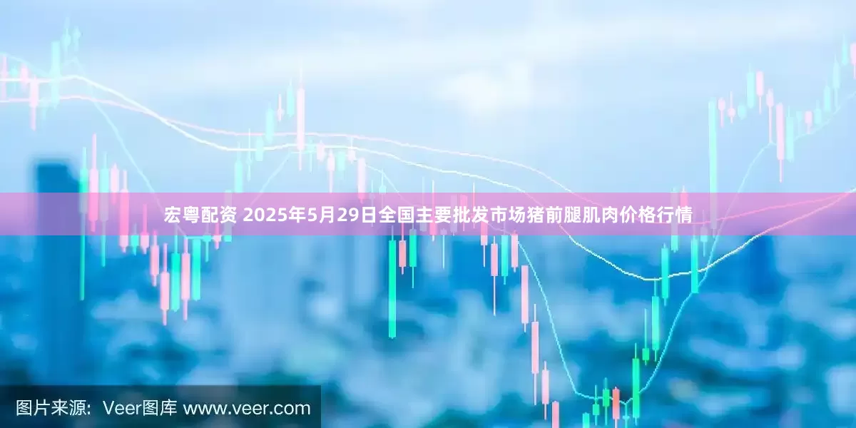 宏粤配资 2025年5月29日全国主要批发市场猪前腿肌肉价格行情