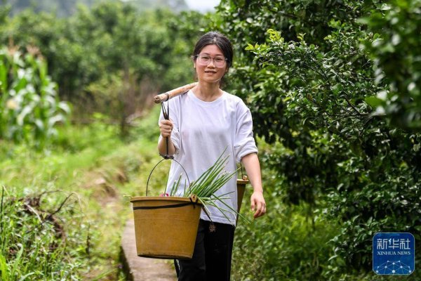 贝贝查 东湖快语｜“扁担女孩”高考分数疯传，别让舆论成为她肩上的担子