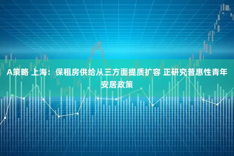 A策略 上海：保租房供给从三方面提质扩容 正研究普惠性青年安居政策